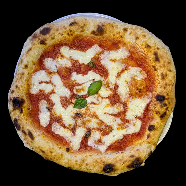 Margherita Regina